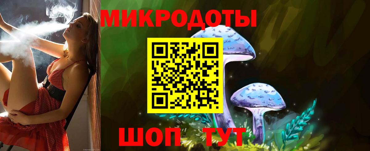 Боровичи  Псилоцибиновые грибы Cubensis  Вход с VPN 